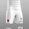 Форма сборной Албании по футболу 2016/2017 (комплект: футболка + шорты + гетры)