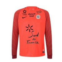Мужская форма голкипера футбольного клуба Монпелье 2016/2017 (комплект: футболка + шорты + гетры)